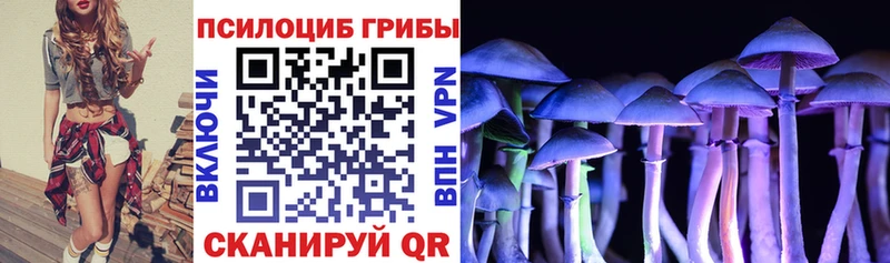 купить   Балтийск  Псилоцибиновые грибы прущие грибы 