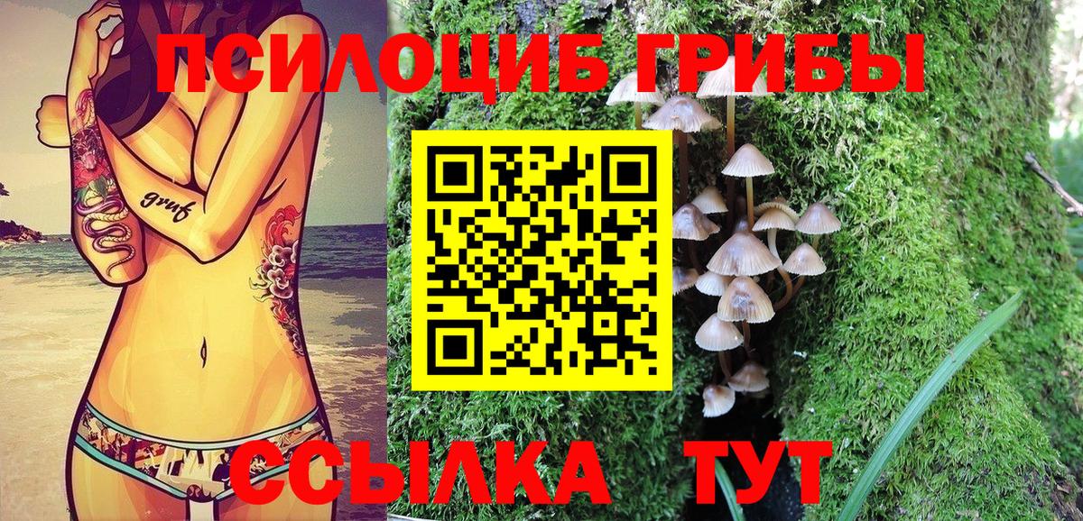 купить  сайты  Вход с VPN  Балтийск  Псилоцибиновые грибы GOLDEN TEACHER 