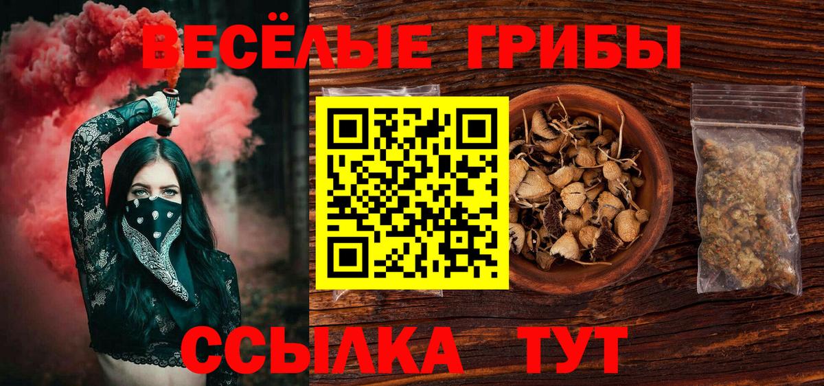 Галлюциногенные грибы мухоморы Балтийск