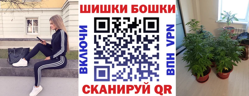 Конопля OG Kush дарк нет Telegram Балтийск